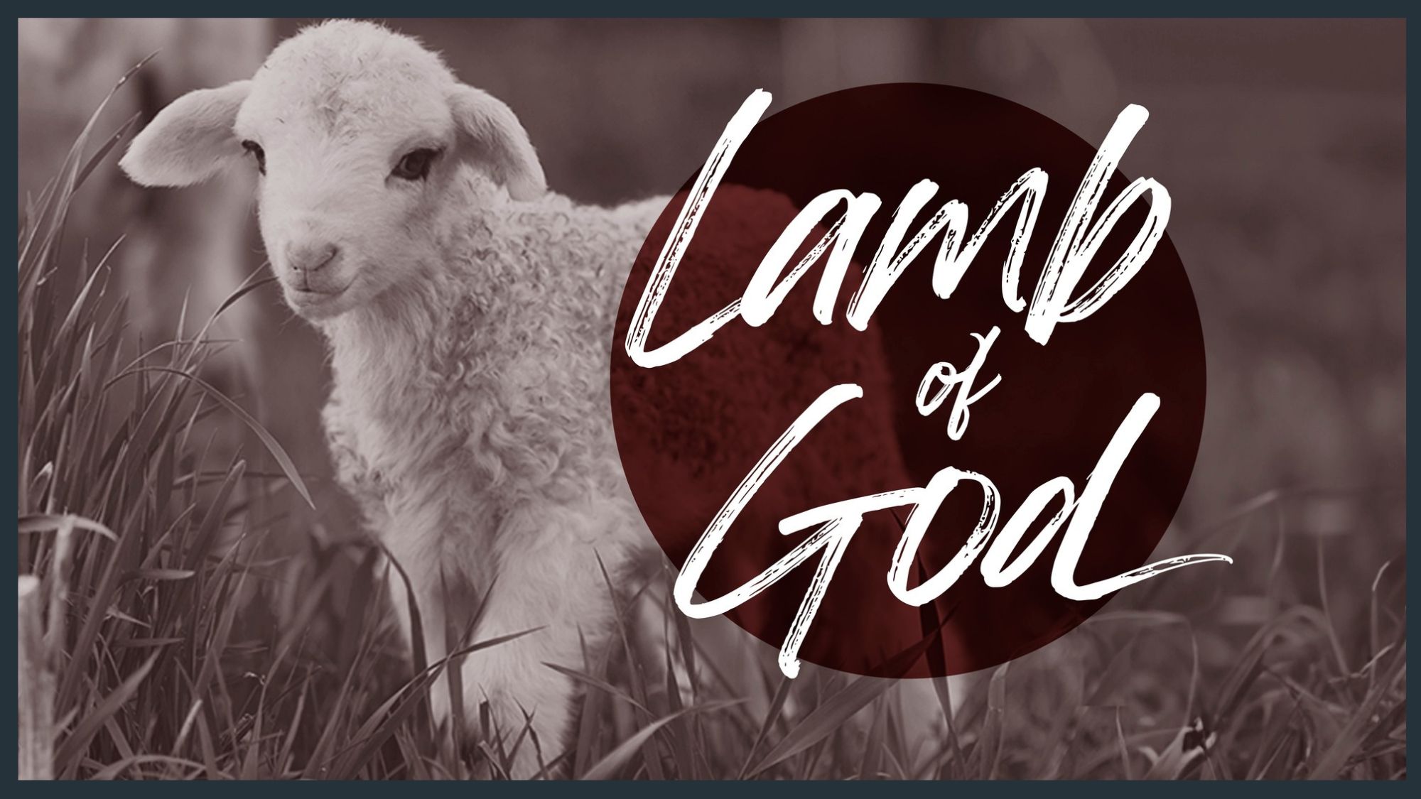 Lamb of God: John 19:31-37